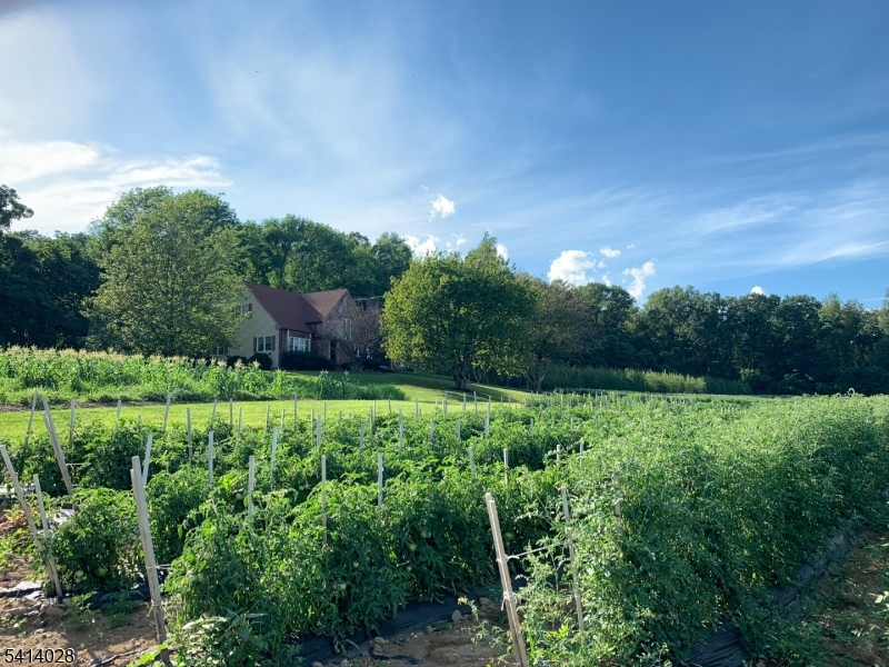 193 Parker Road Long Valley, NJ 07853 - Photo 9 of 13 a view of a yard