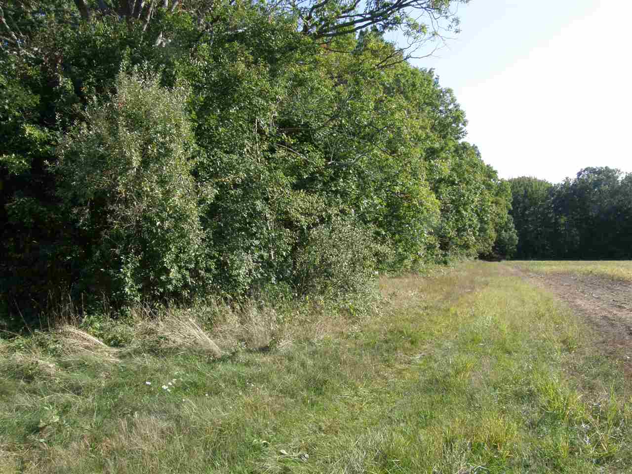 Birch Run Road Burt, MI 48417 - Photo 8 of 10
