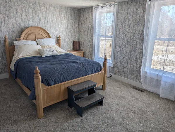 a bedroom with a bed and a window