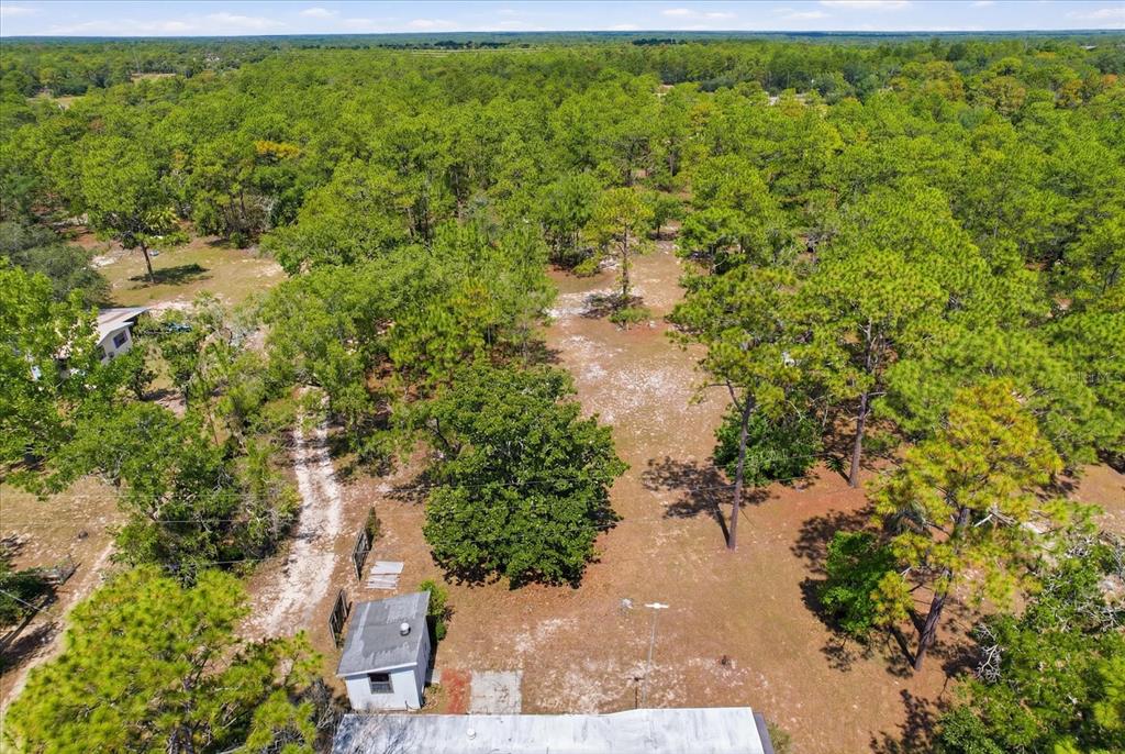 4675 Roses Court Homosassa, FL 34446 - Photo 13 of 22