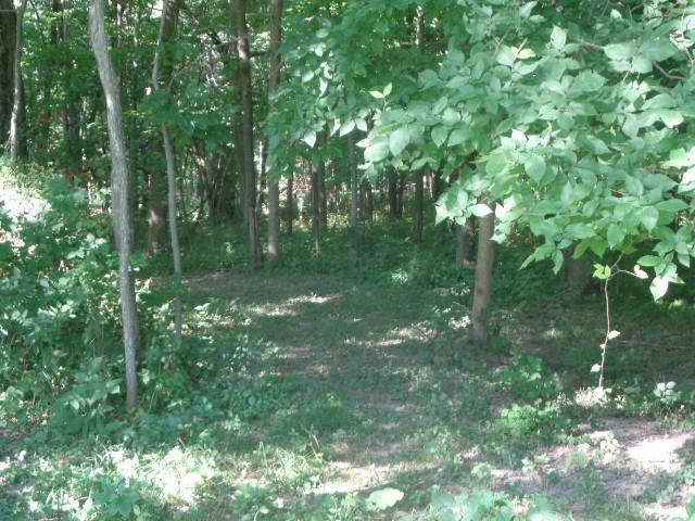 7342 Nettlecreek Road St. Paris, OH 43072 - Photo 42 of 54
