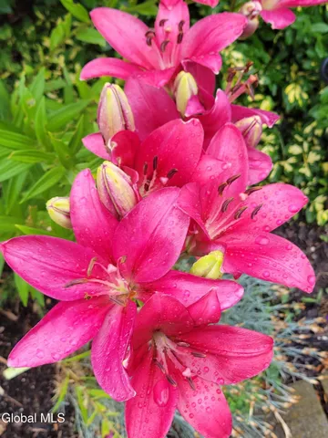 $340,000 | 4 Battle Hill Drive, Fort Ann, NY 12827