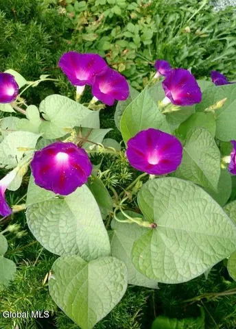 $340,000 | 4 Battle Hill Drive, Fort Ann, NY 12827