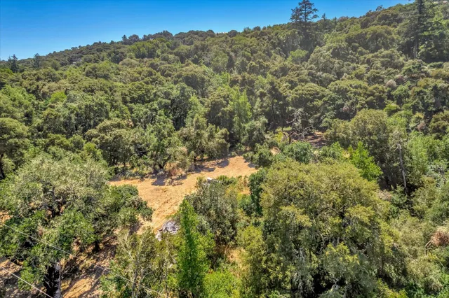 a view of a forest with mountains in the background