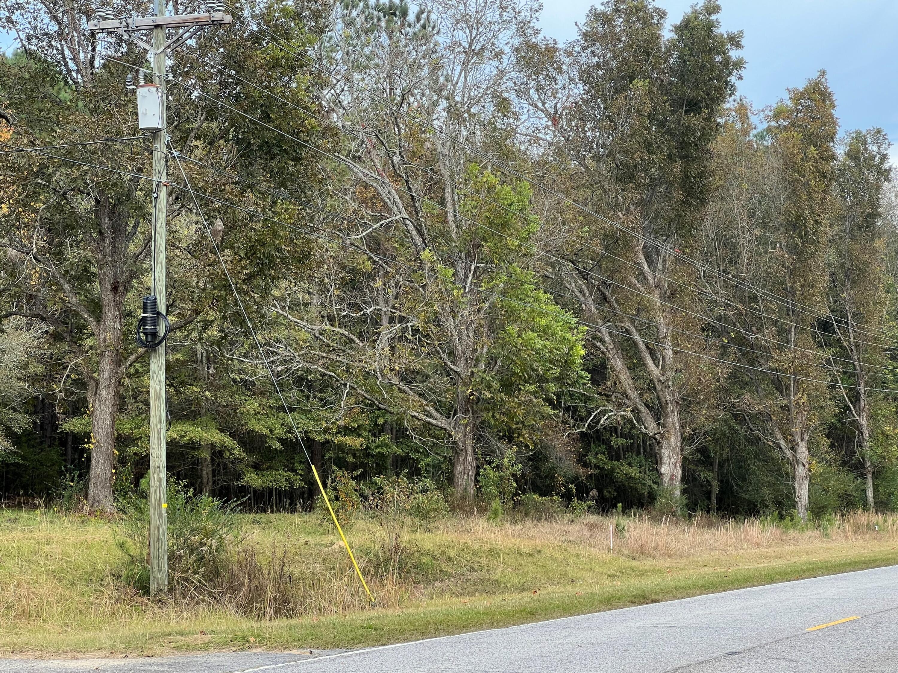 W2 Wagener Road, Unit 2 Wagener, SC 29164 - Photo 9 of 11