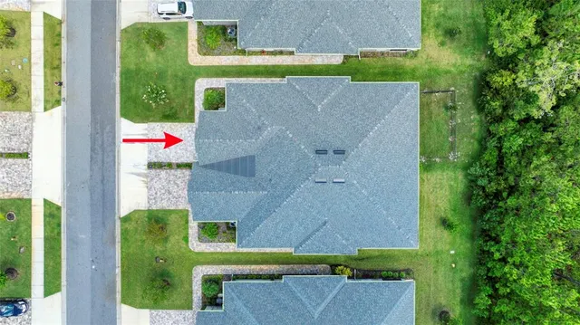 a view of a garden with plants