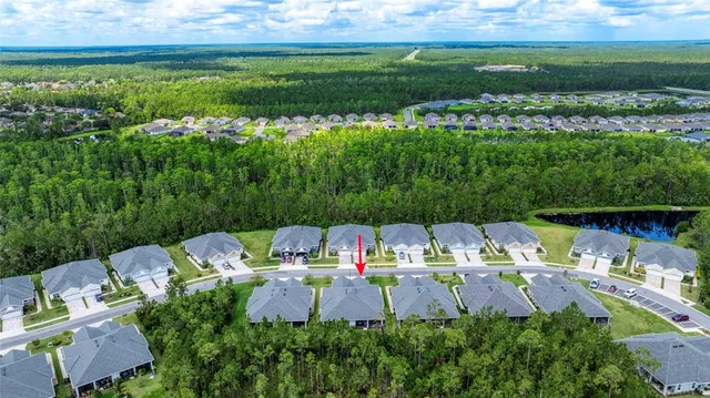 a green field with lots of trees in the background