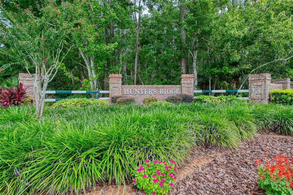 51 Wrendale Loop Ormond Beach, FL 32174 - Photo 48 of 58 a view of a garden with plants