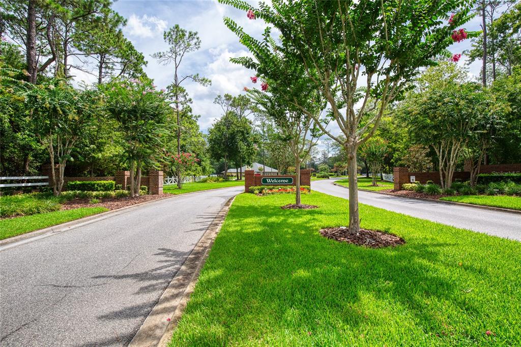 51 Wrendale Loop Ormond Beach, FL 32174 - Photo 50 of 58 a green field with lots of trees in the background