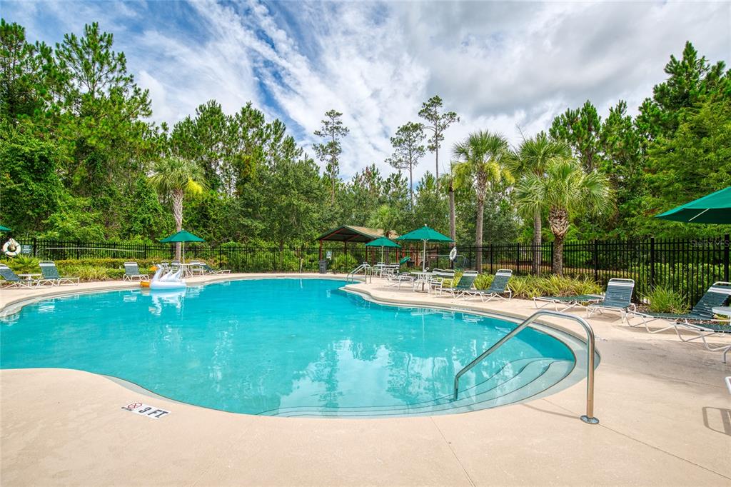 51 Wrendale Loop Ormond Beach, FL 32174 - Photo 51 of 58 a view of a swimming pool with a yard