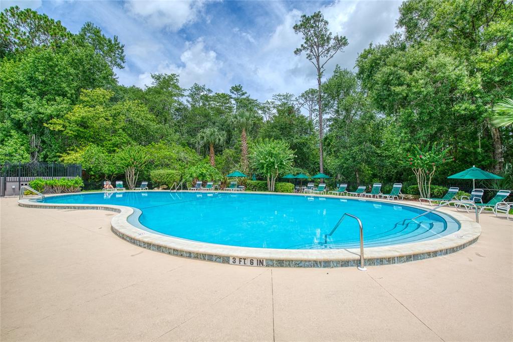 51 Wrendale Loop Ormond Beach, FL 32174 - Photo 55 of 58 a view of a swimming pool and trees in the background