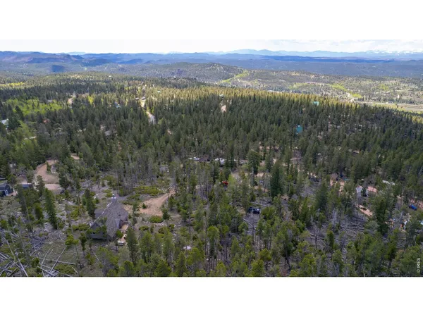 a black and white photo of a green field