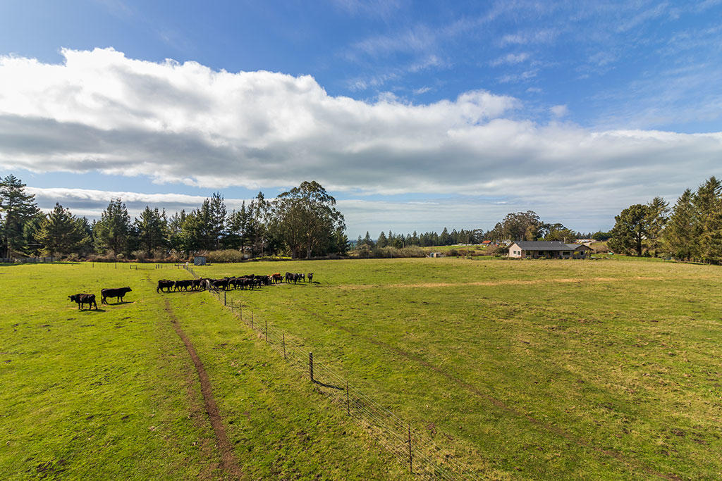 117 Table Bluff Road Loleta, CA 95551 - Photo 110 of 127 111