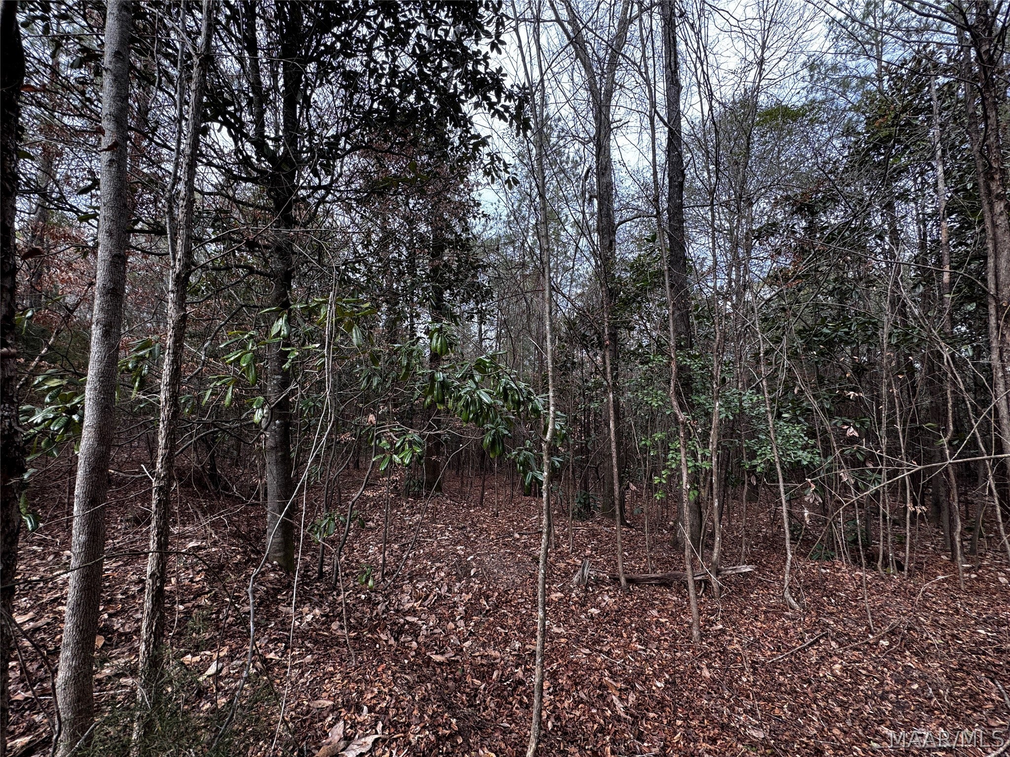 0 County Road Monroeville, AL 36460 - Photo 28 of 44 Gallery Image 28