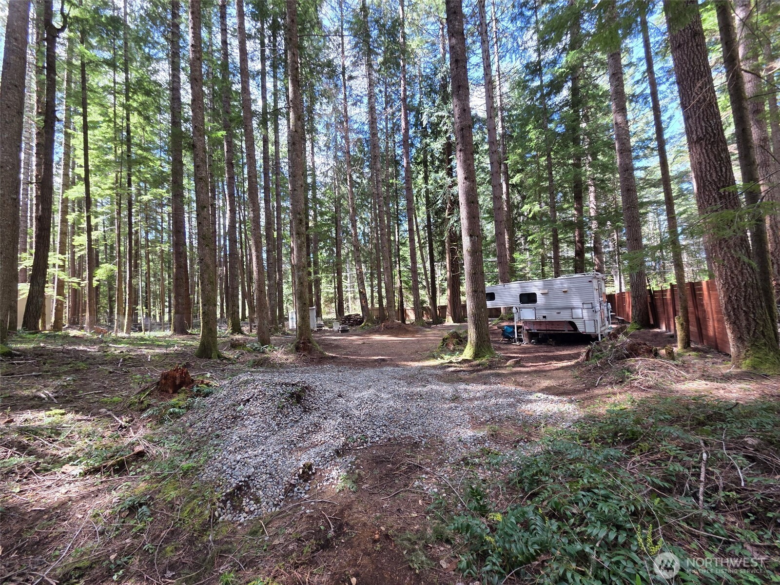 56207 Kernahan Road East Ashford, WA 98304 - Photo 13 of 13