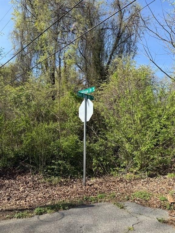 3674 Canton Road Marietta, GA 30066 - Photo 9 of 20 a plant in a yard with potted plants