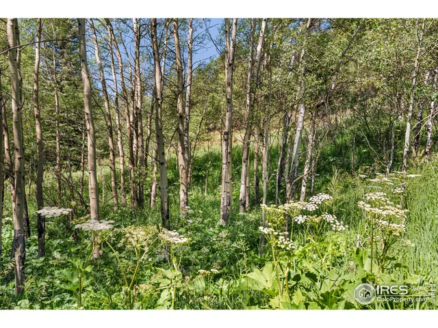 a view of a green field
