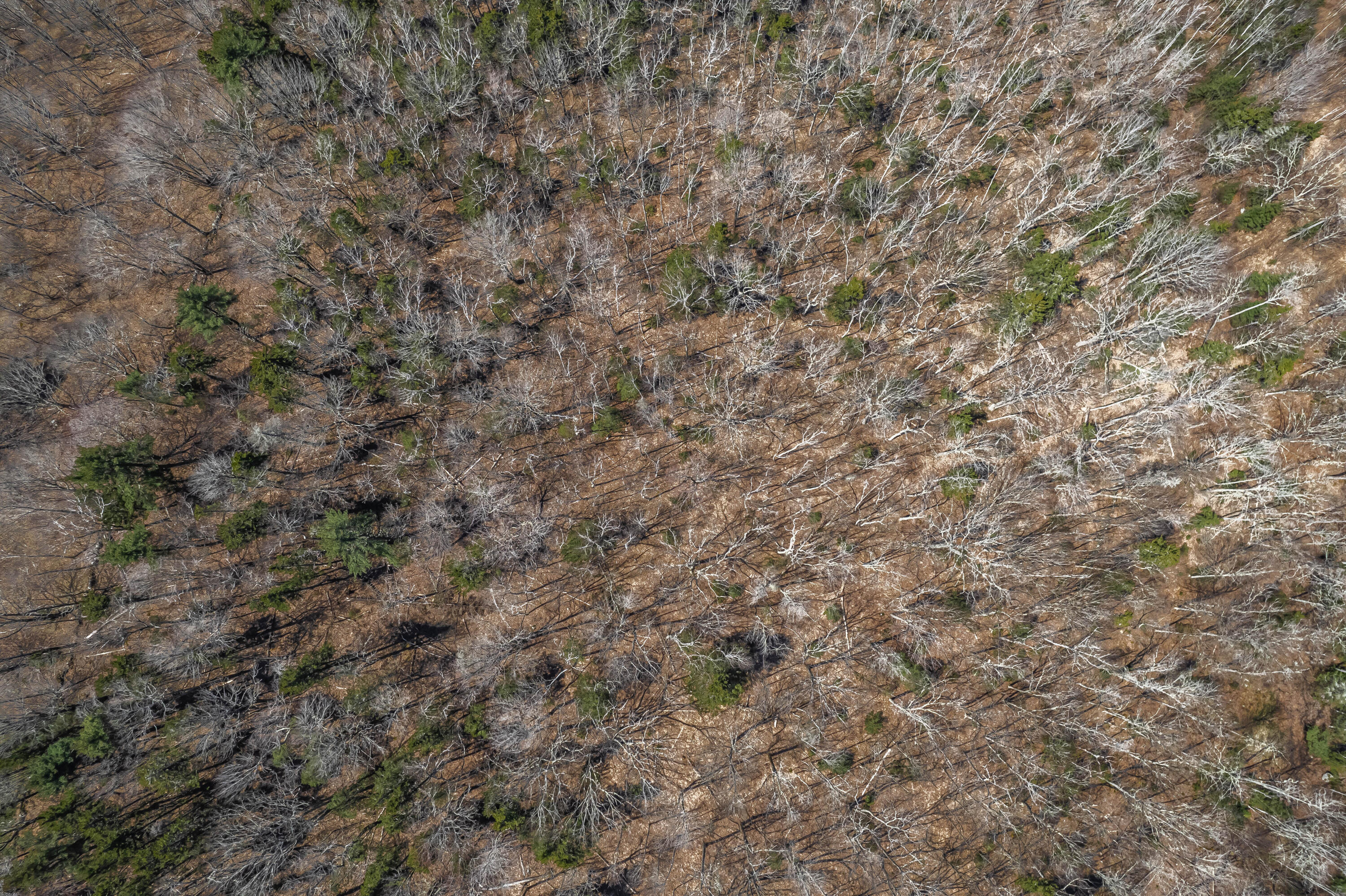 94 Dodge Mountain Road Rockland, ME 04841 - Photo 28 of 28 DJI_0385-HDR