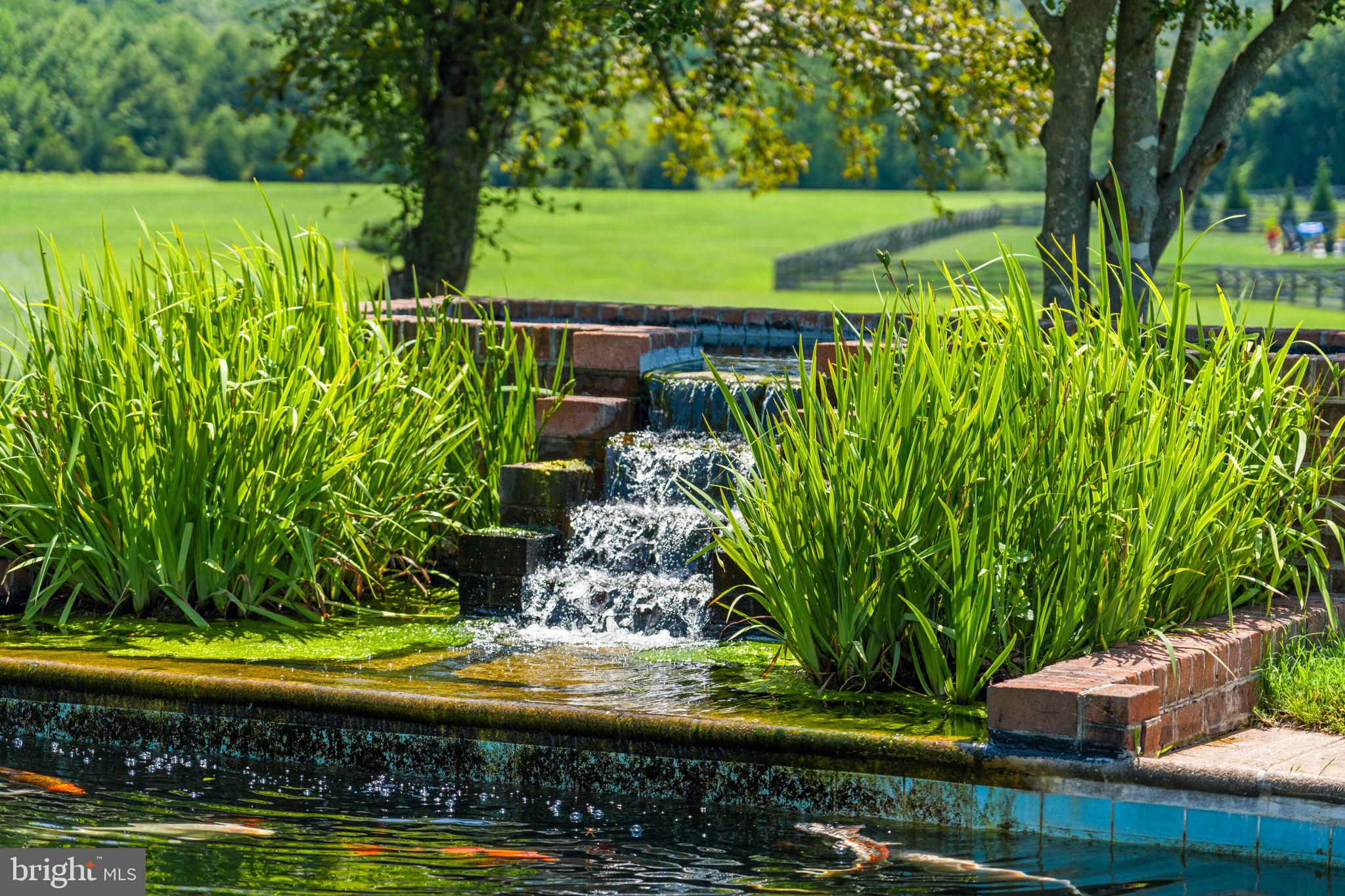6190 Georgetown Road Broad Run, VA 20137 - Photo 65 of 95 The Koi pond
