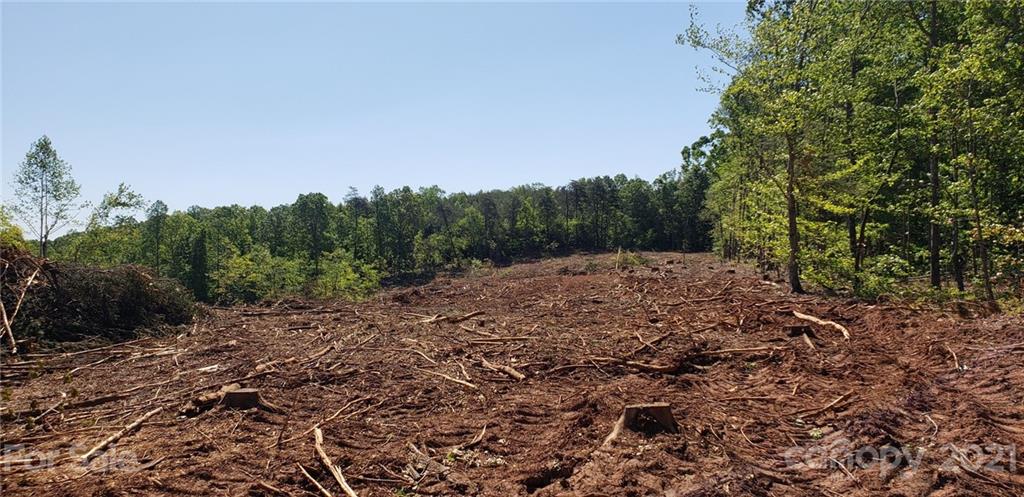 0 Zion Road Rutherfordton, NC 28139 - Photo 5 of 9 a view of a yard with a tree
