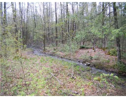1661 Dexter Road Dover-Foxcroft, ME 04426 - Photo 5 of 20 Land/Lot. Spring fed stream runs...