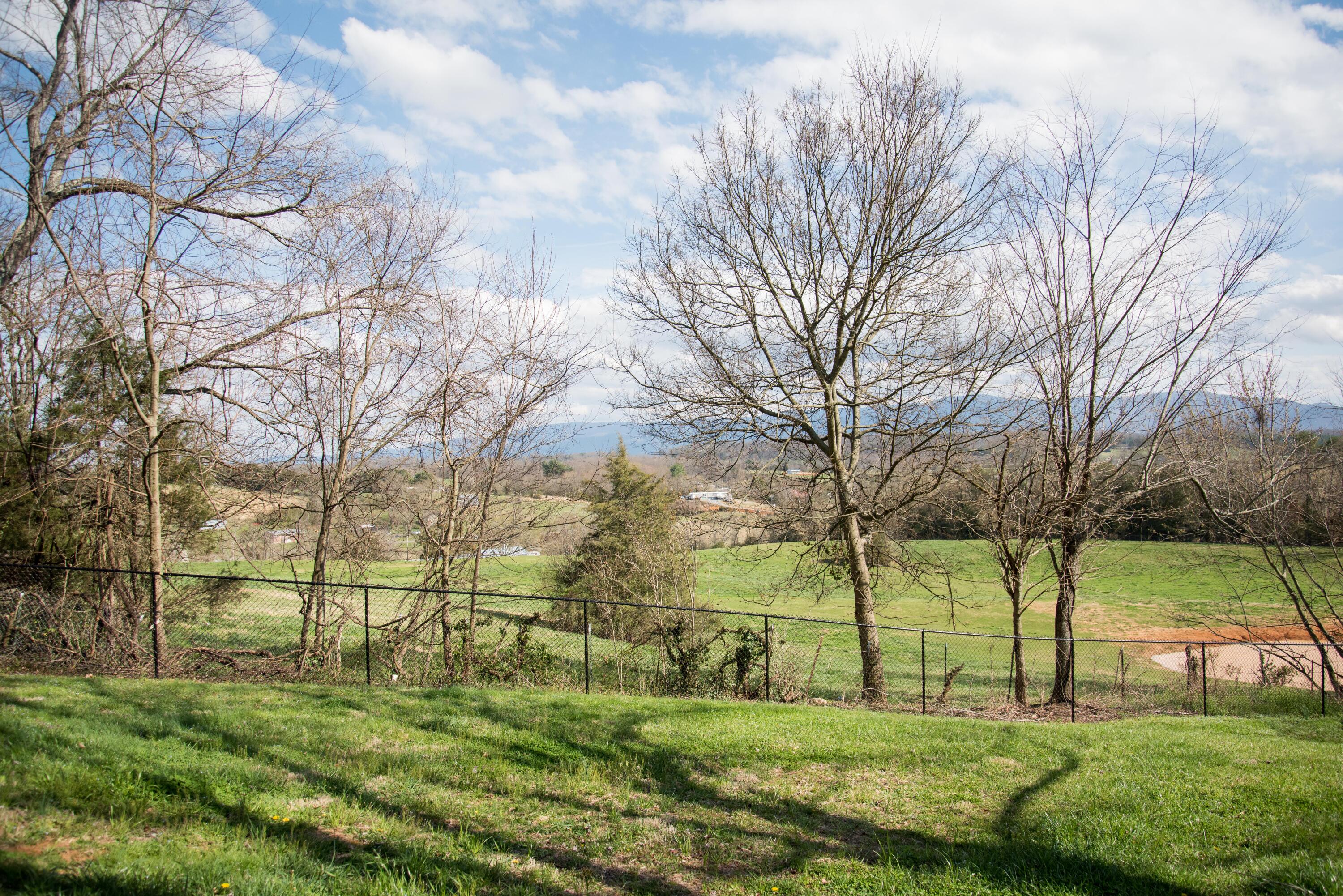 2095 Whirlwind Road Greeneville, TN 37743 - Photo 41 of 50 DSC_5409
