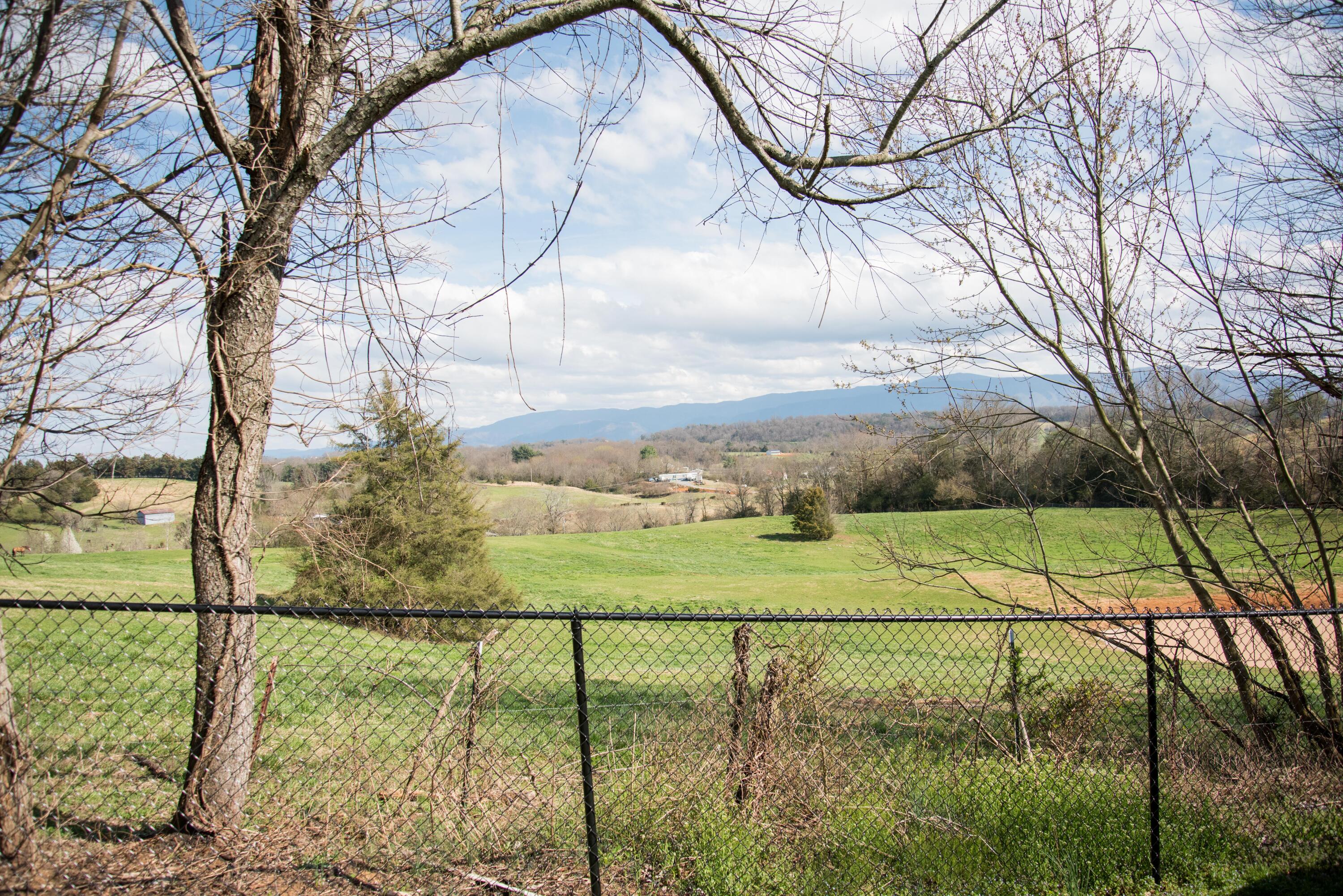 2095 Whirlwind Road Greeneville, TN 37743 - Photo 42 of 50 DSC_5410