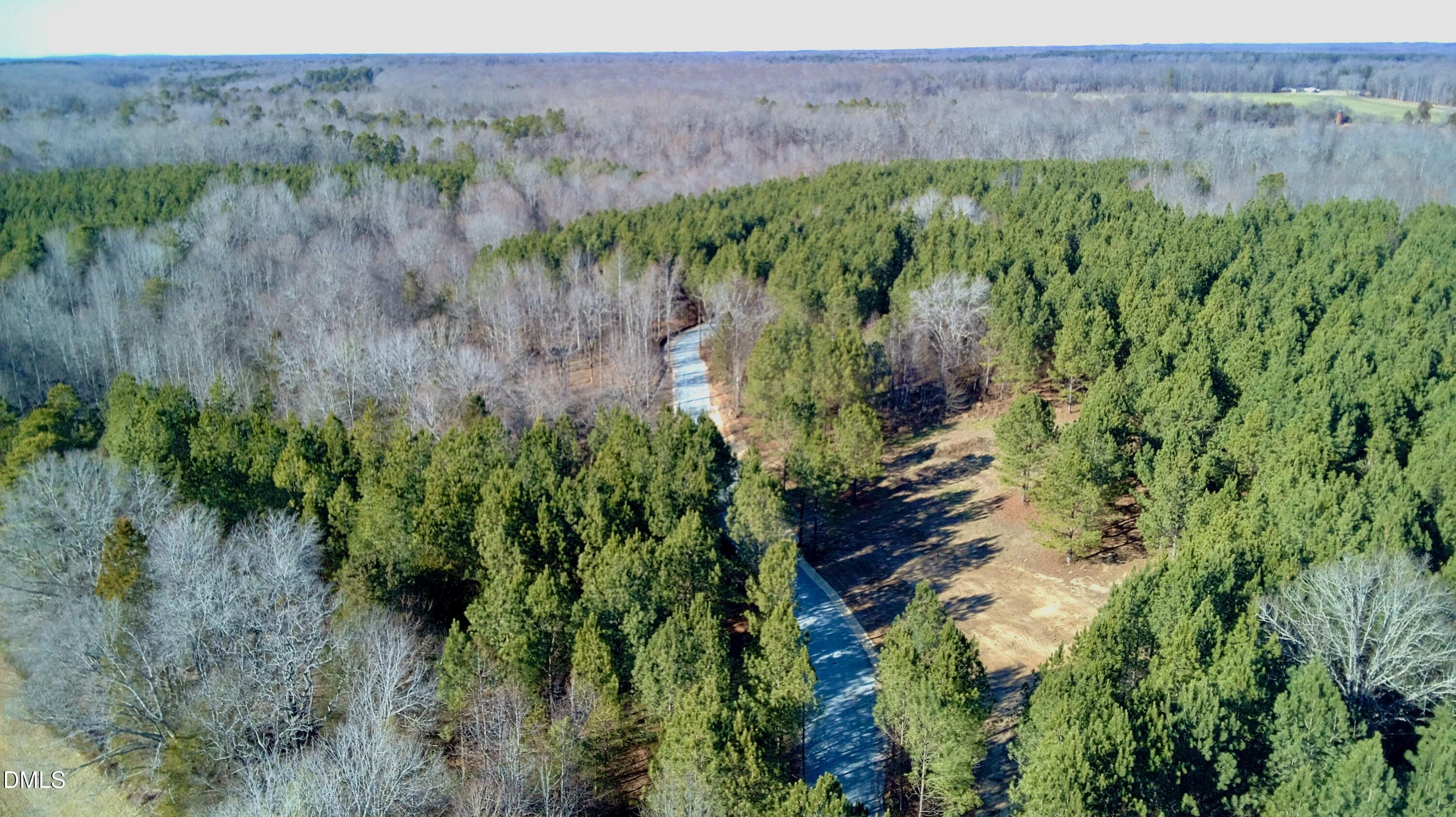 Lot D Wolf Tree Way Efland, NC 27243 - Photo 21 of 43 Arial
