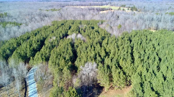 a view of a garden with a tree