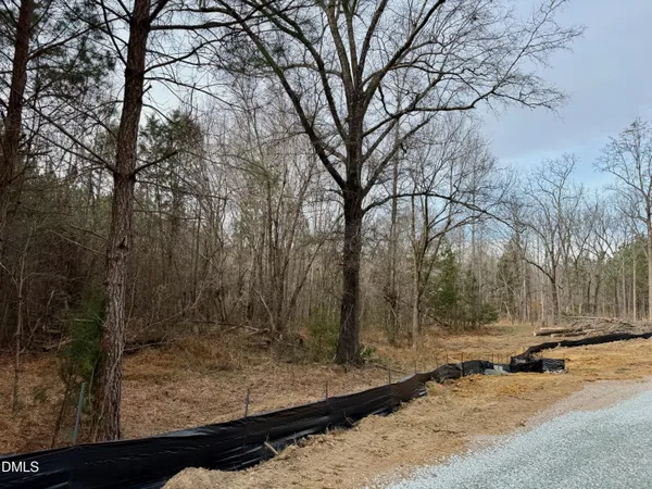 a view of a field with trees in the background