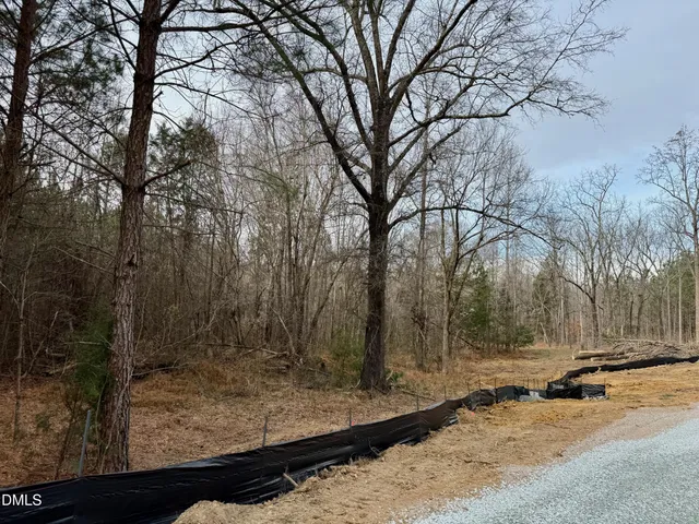 a view of a field with trees in the background