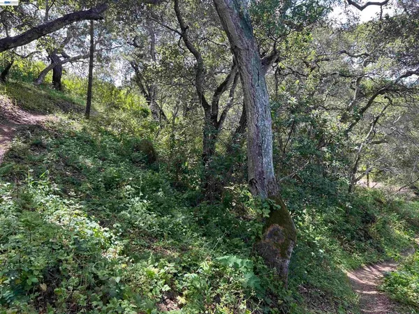 $225,000 | 00 Marburger Avenue, Belmont, CA 94002