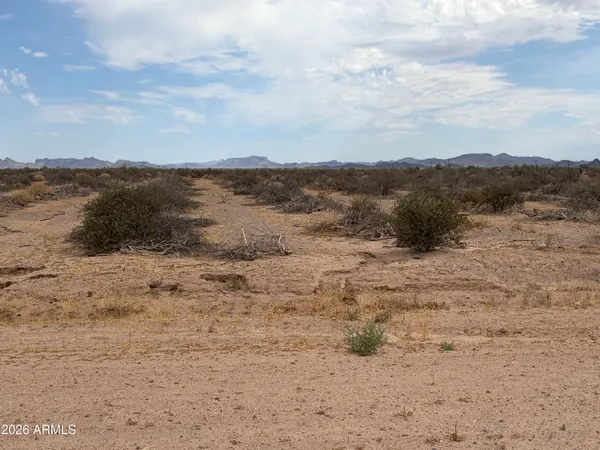 $36,000 | Lot 5 West Naranja Avenue, Unit 5, Dateland, AZ 85333
