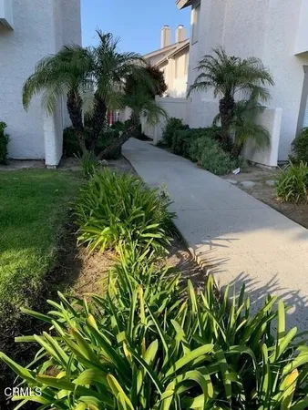 a plant that is in front of a house