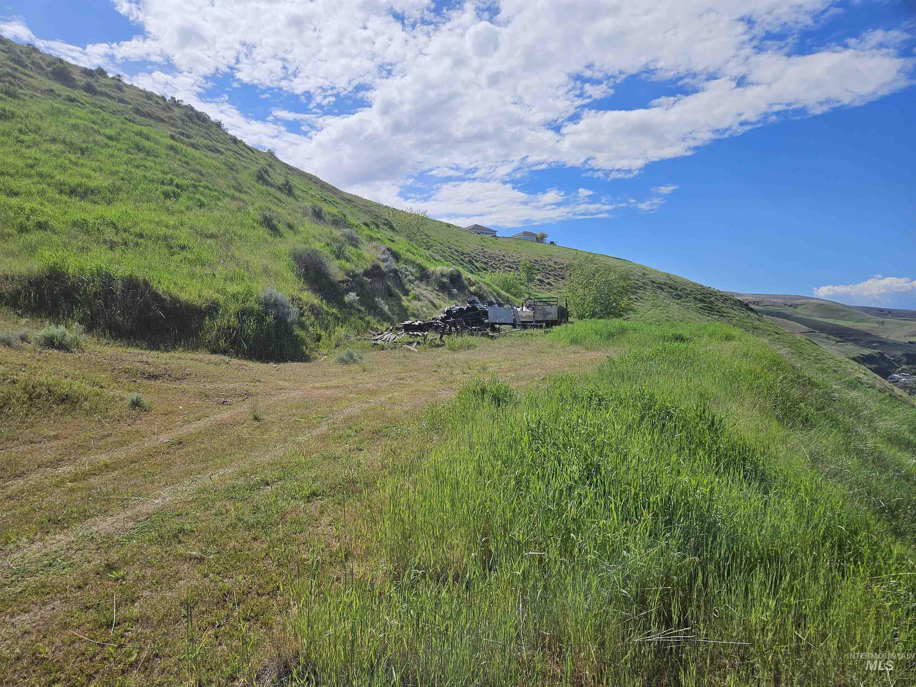 Tbd Garfield Street Asotin, WA 99402 - Photo 17 of 19