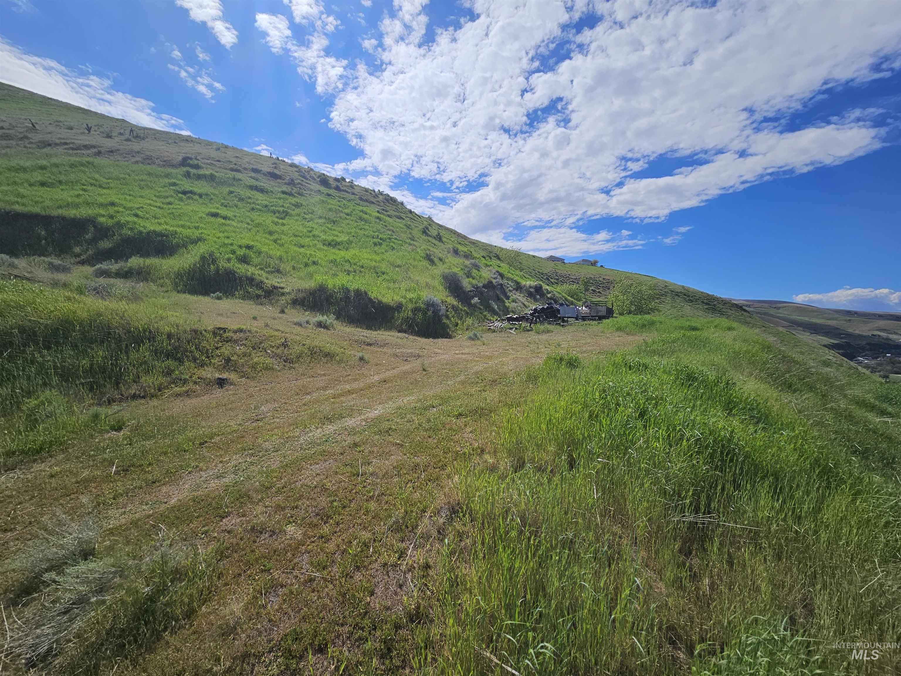 Tbd Garfield Street Asotin, WA 99402 - Photo 4 of 19