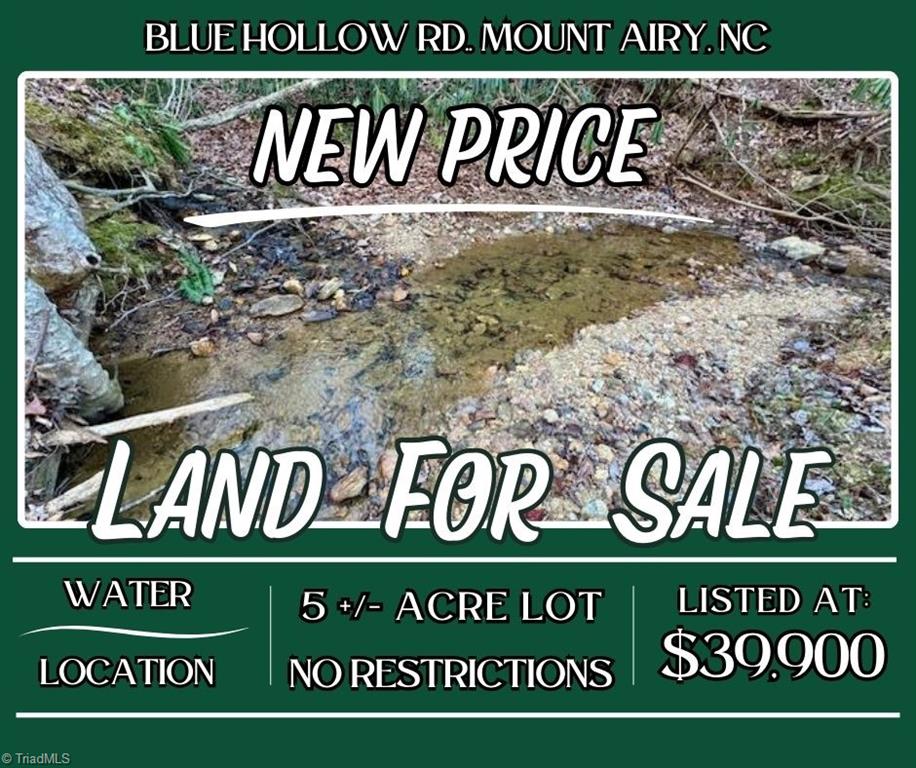0 Blue Hollow Road Mount Airy, NC 27030 - Photo 1 of 23