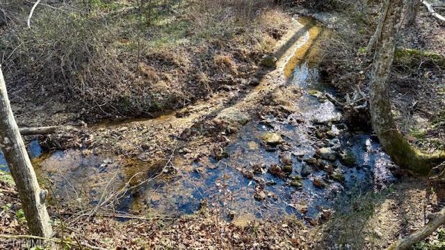0 Blue Hollow Road Mount Airy, NC 27030 - Photo 11 of 23