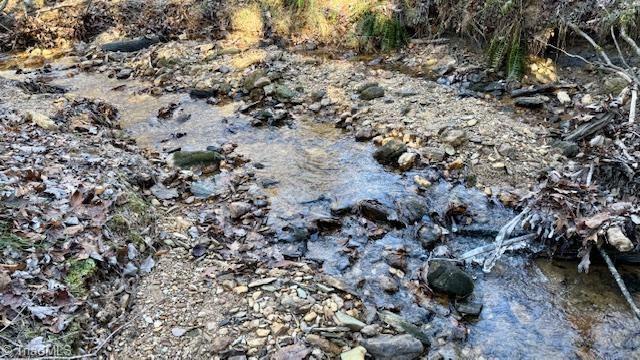 0 Blue Hollow Road Mount Airy, NC 27030 - Photo 14 of 23