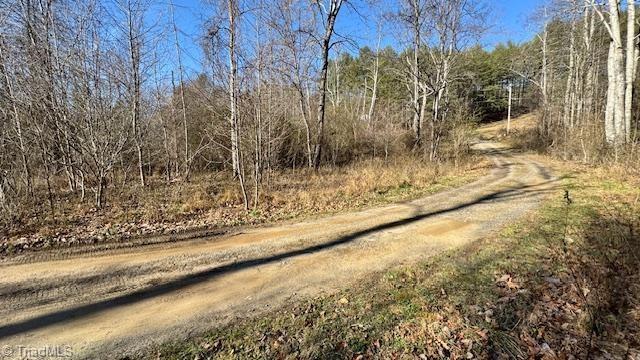 0 Blue Hollow Road Mount Airy, NC 27030 - Photo 16 of 23