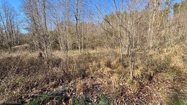 0 Blue Hollow Road Mount Airy, NC 27030 - Photo 17 of 23