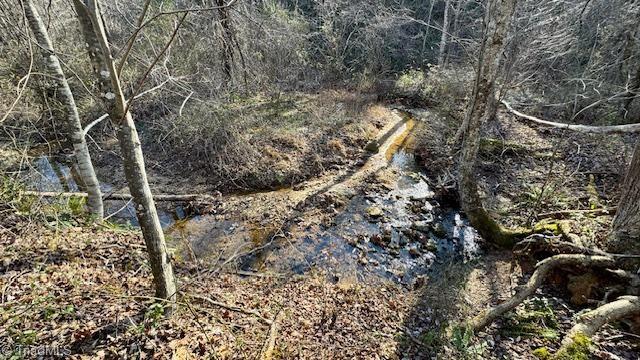 0 Blue Hollow Road Mount Airy, NC 27030 - Photo 20 of 23