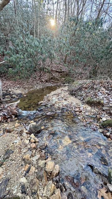 0 Blue Hollow Road Mount Airy, NC 27030 - Photo 2 of 23