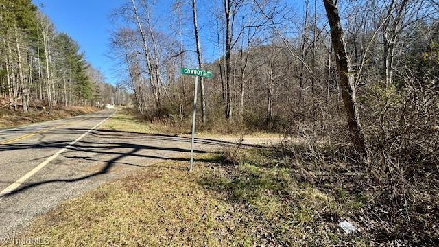 0 Blue Hollow Road Mount Airy, NC 27030 - Photo 21 of 23