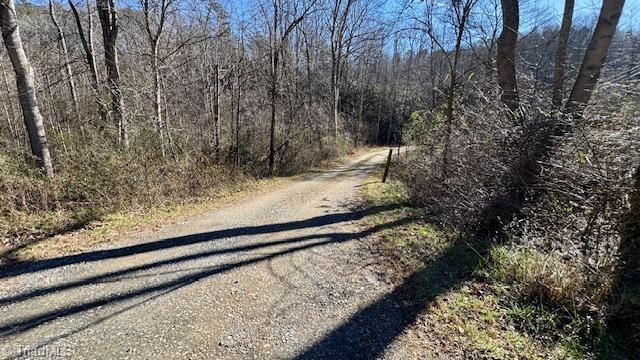 0 Blue Hollow Road Mount Airy, NC 27030 - Photo 23 of 23