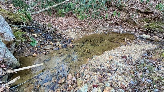 0 Blue Hollow Road Mount Airy, NC 27030 - Photo 5 of 23