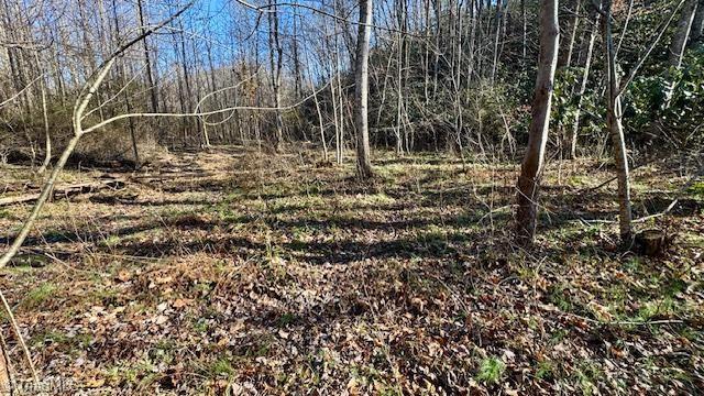 0 Blue Hollow Road Mount Airy, NC 27030 - Photo 6 of 23