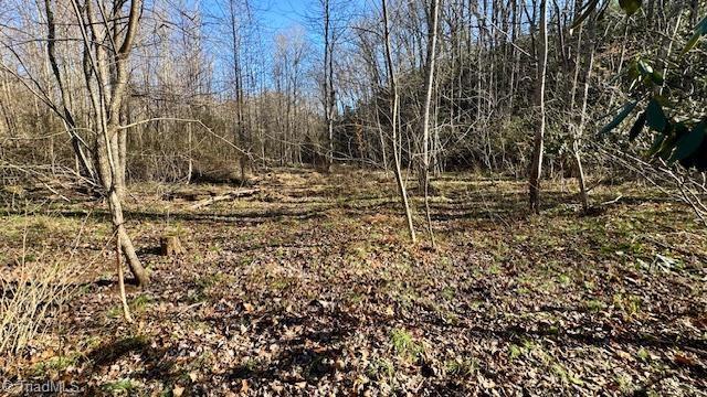 0 Blue Hollow Road Mount Airy, NC 27030 - Photo 10 of 23