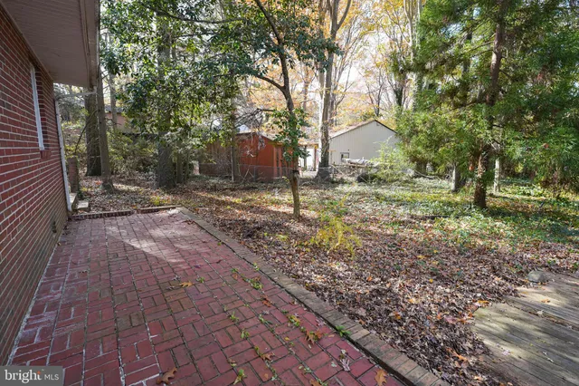 a view of a yard with plants and trees