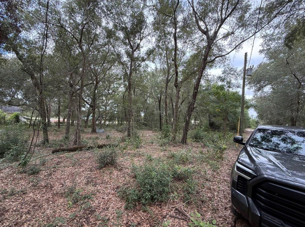 10185 Creekfield Road Brooksville, FL 34613 - Photo 2 of 3 a view of a backyard with trees